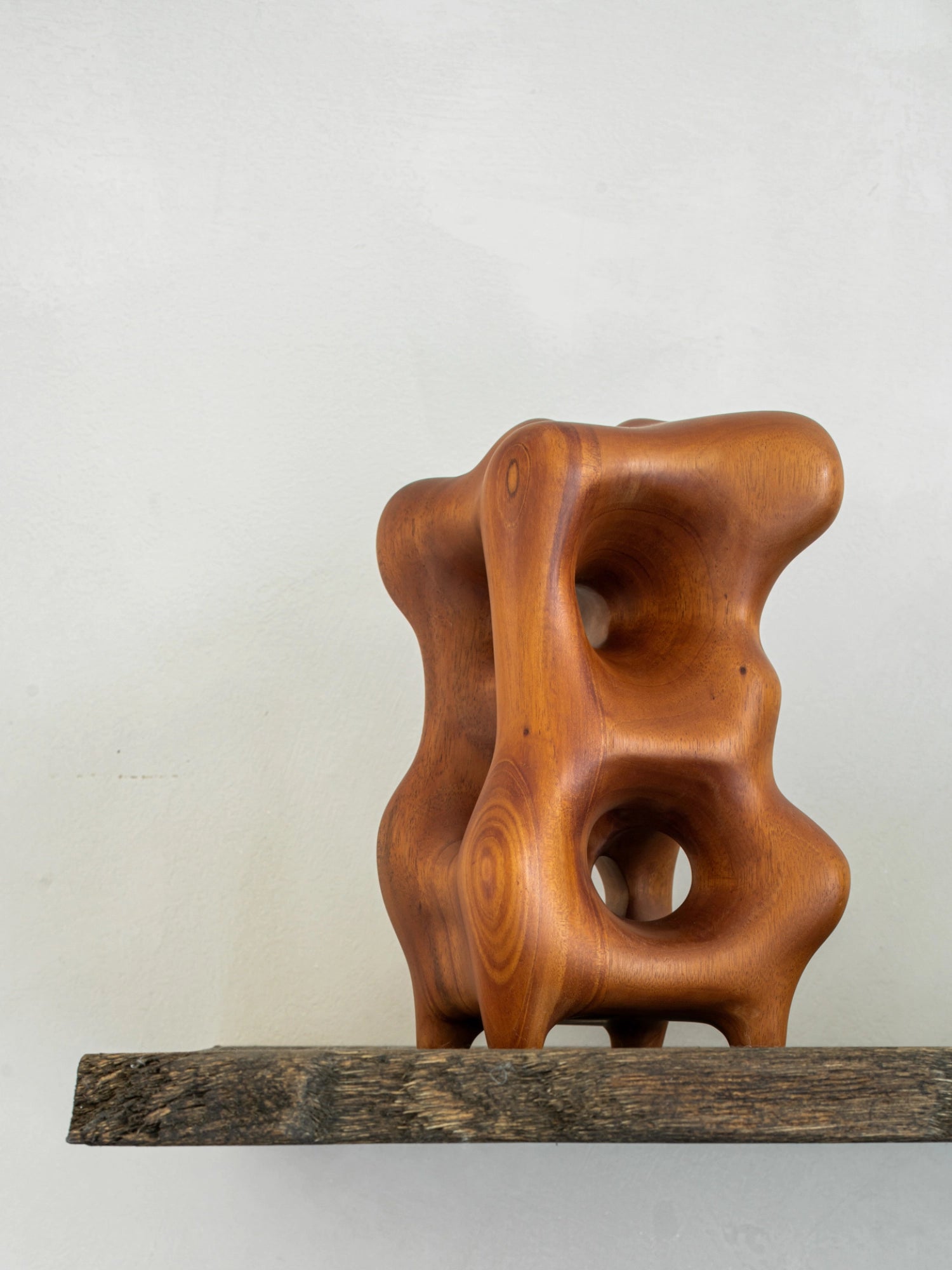 Ethnicraft Natural Organic Sculpture, a stunning mahogany wood art piece with a warm, reddish-brown tone, featuring intricate organic curves and hollowed-out sections, resting on a rustic wooden shelf.