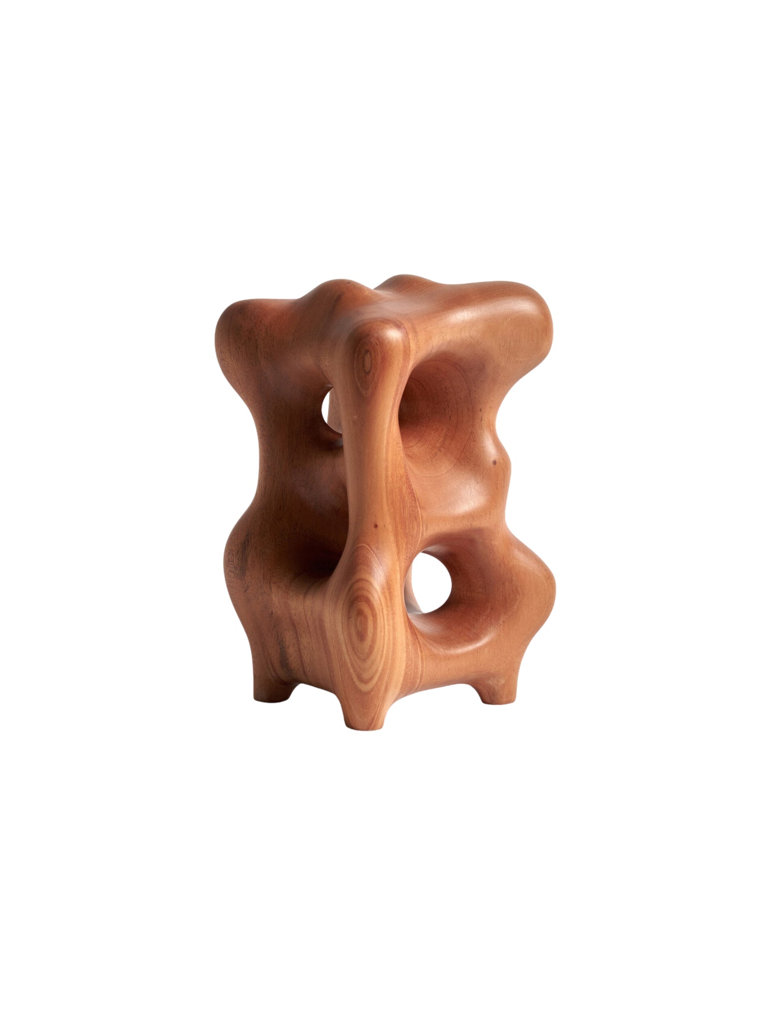 Ethnicraft Natural Organic Sculpture, an elegant mahogany wood piece with a warm brown hue, showcasing its unique, undulating curves and carved-out sections, displayed on a white background.