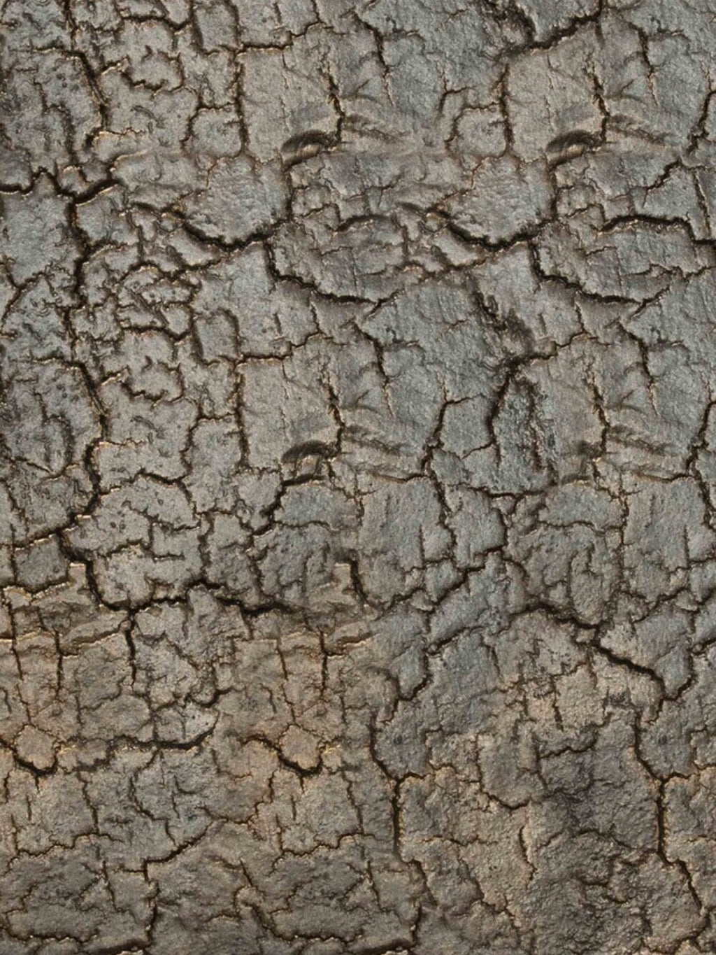 Ethnicraft Pentagon Console, an extreme close-up of the whisky-finished surface, highlighting the intricate, organic cracked texture that gives this modern console its unique character.