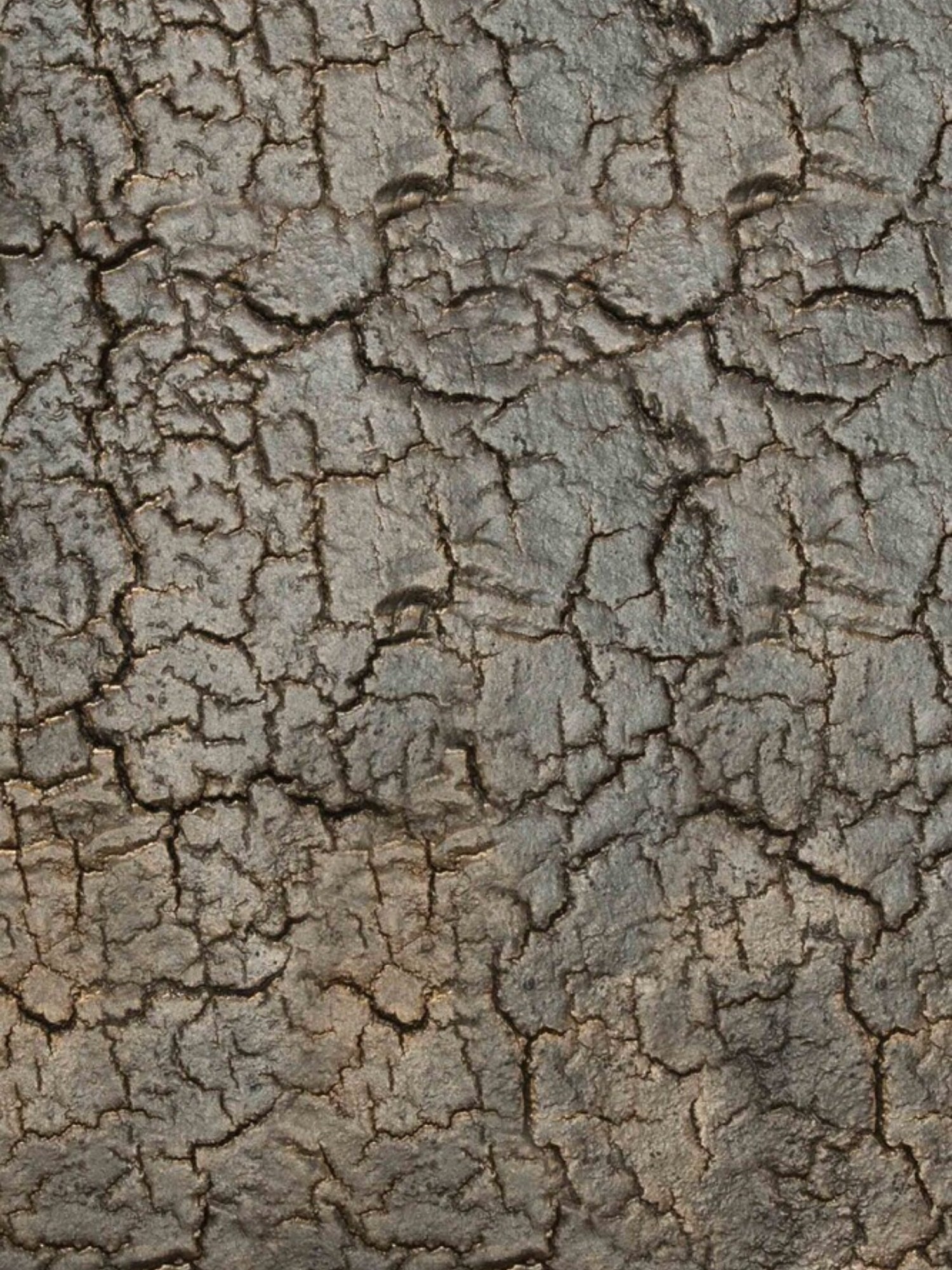 Ethnicraft Pentagon Console, an extreme close-up of the whisky-finished surface, highlighting the intricate, organic cracked texture that gives this modern console its unique character.