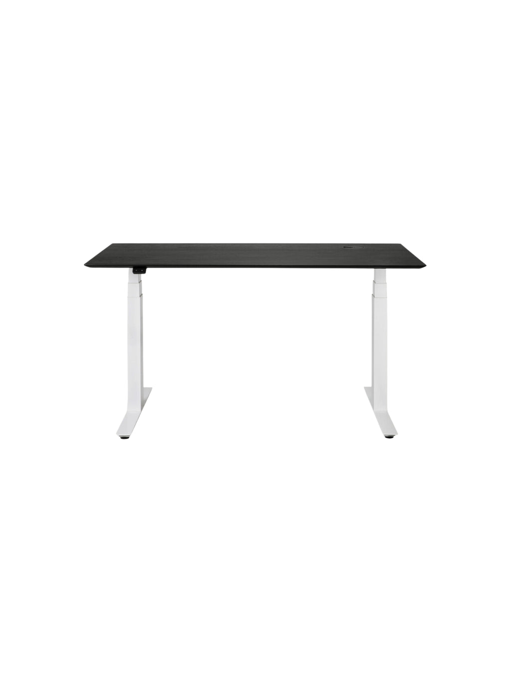 Ethnicraft Bok Adjustable Desk, a front view showcasing the elegant black oak wood tabletop with its subtle grain, paired with sturdy white adjustable metal legs, displayed on a clean white background. This modern, premium desk is ideal for any office.