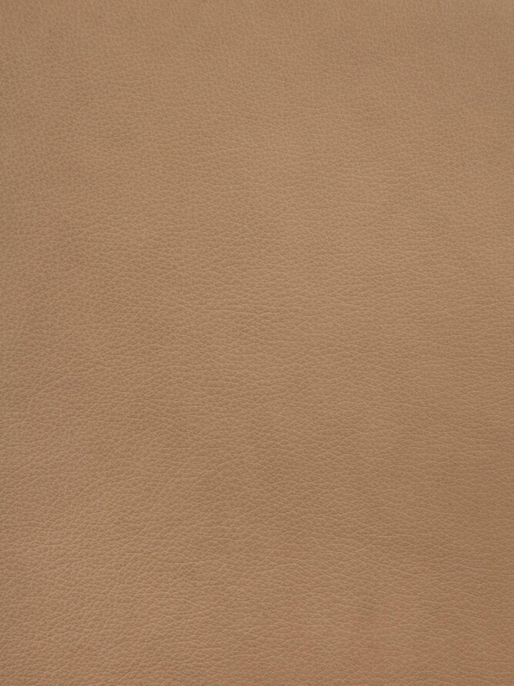Ethnicraft Eye Lounge Chair, upholstered in a rich tan leather featuring a fine pebbled grain texture and warm camel brown hue.