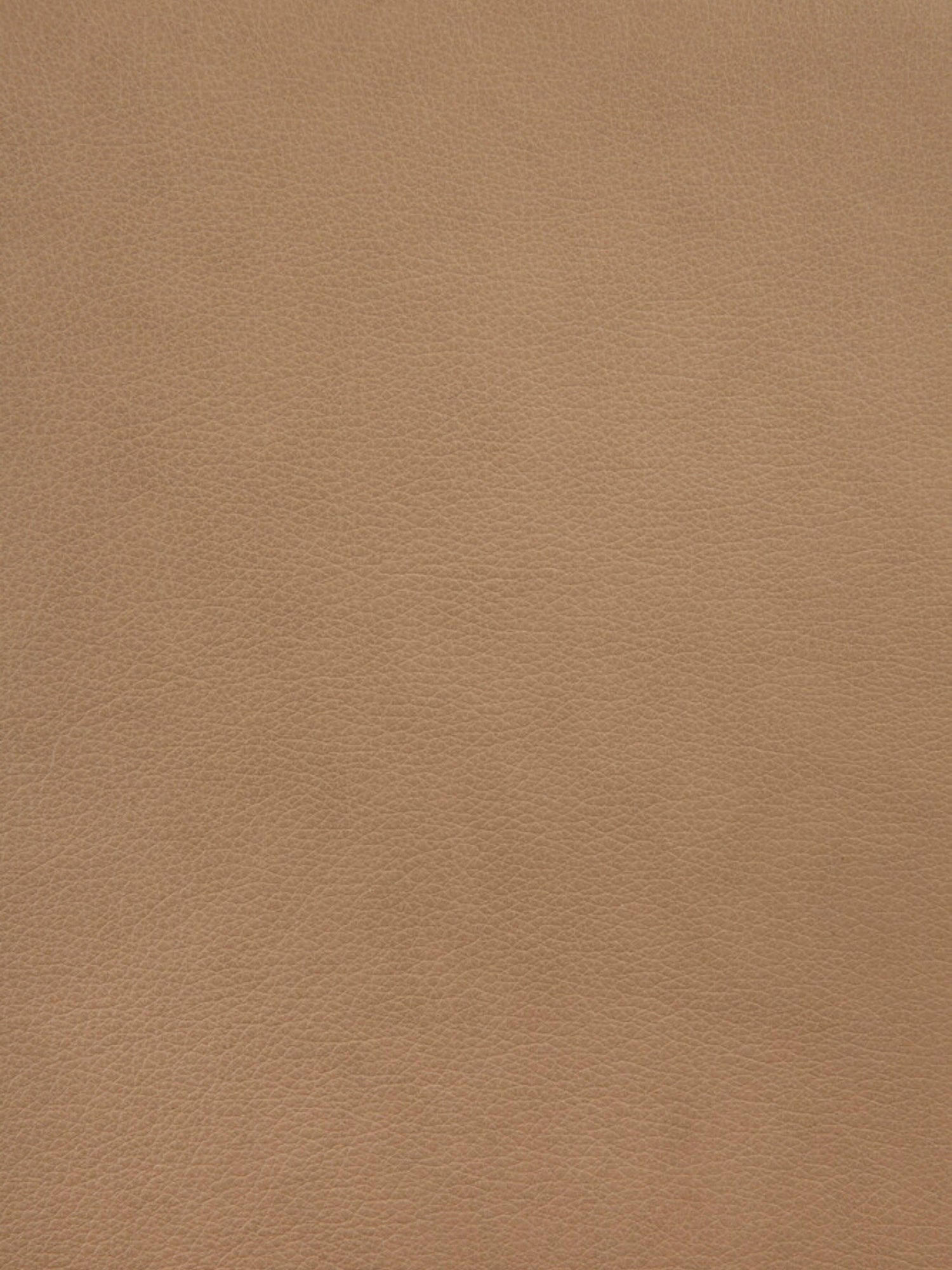 Ethnicraft Eye Lounge Chair, upholstered in a rich tan leather featuring a fine pebbled grain texture and warm camel brown hue.