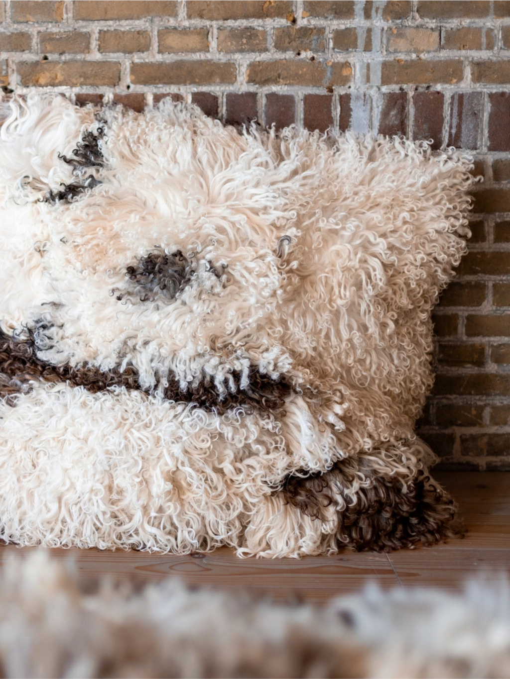 Curly Sheepskin Floor Pillow
