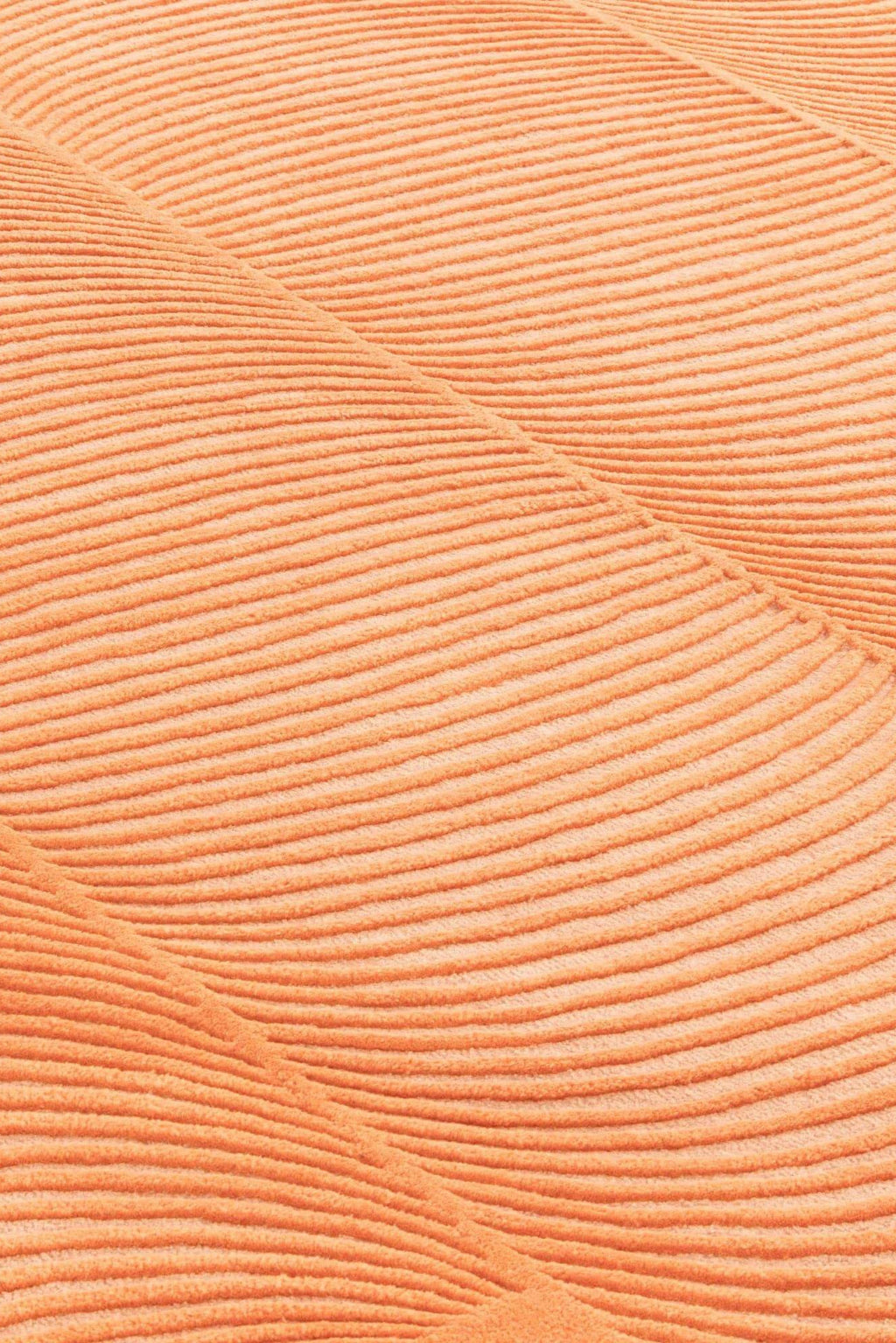 Giro Rug - THAT COOL LIVING