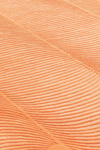 Giro Rug - THAT COOL LIVING