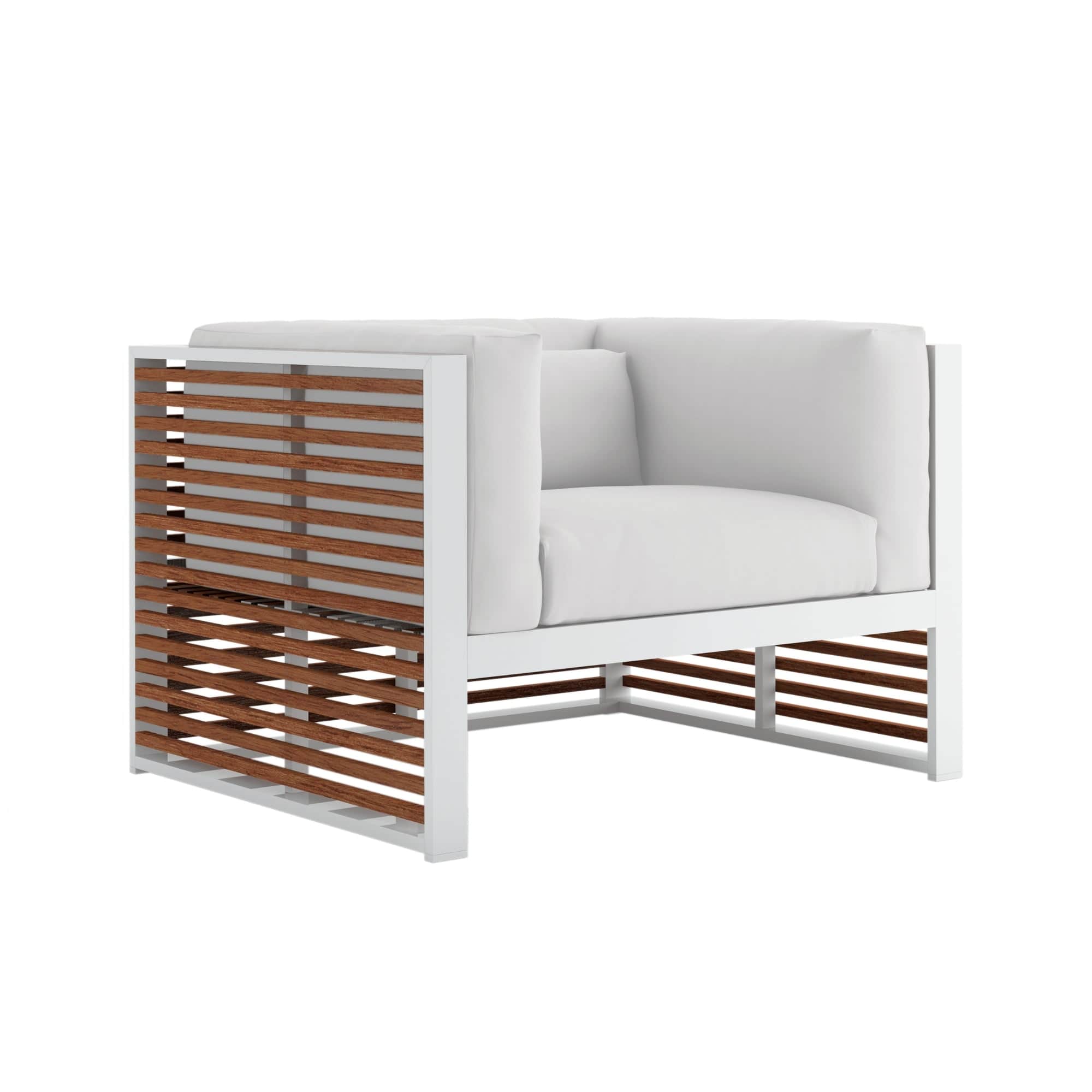 DNA Teak Lounge Chair - THAT COOL LIVING