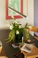 Interplay Pendant Light