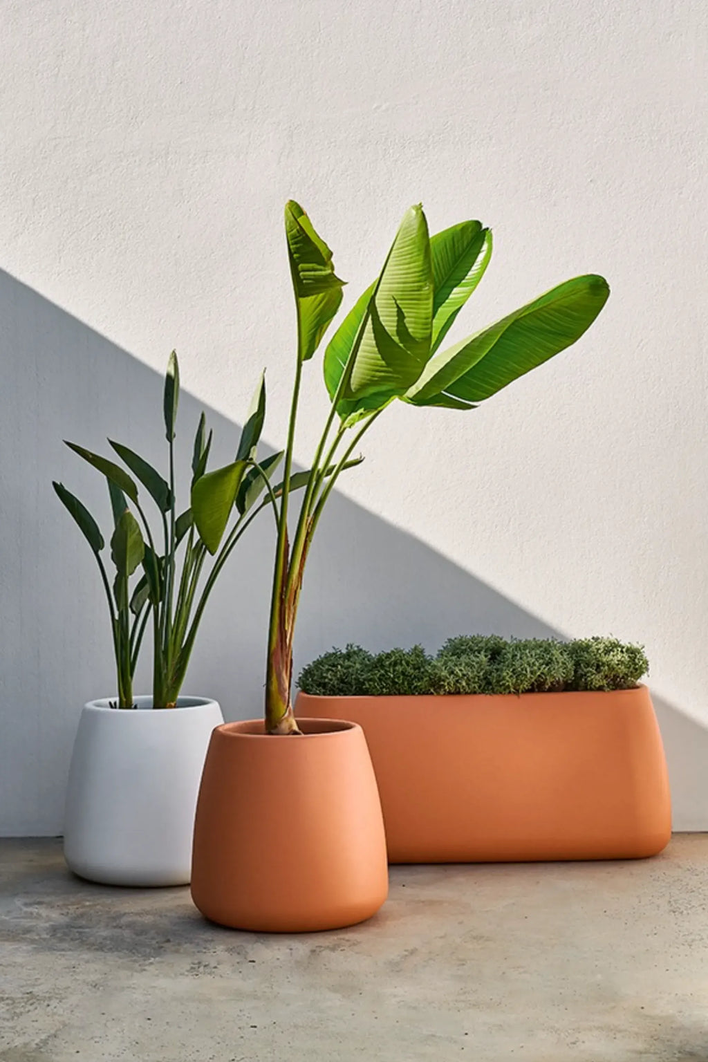 Gandia Blasco Sahara Outdoor Planter 1, a modern minimalist outdoor planter collection featuring smooth, matte terracotta-colored and crisp white weather-resistant resin.