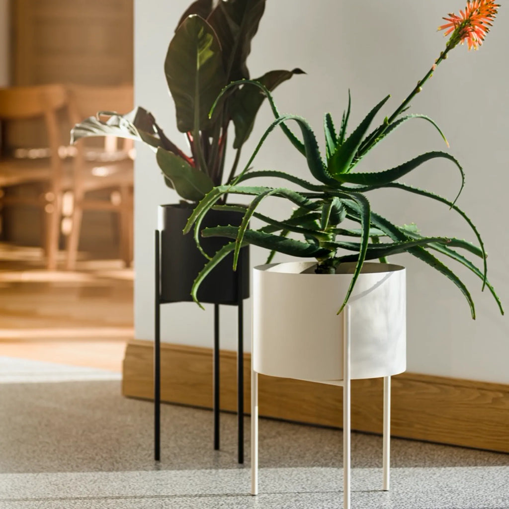 Sleek and modern tall plant pot for contemporary home decor