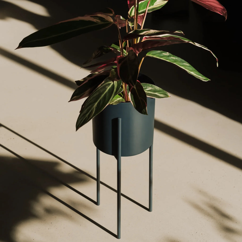 Tall Maki Plant Pot crafted from high-quality ceramic materials