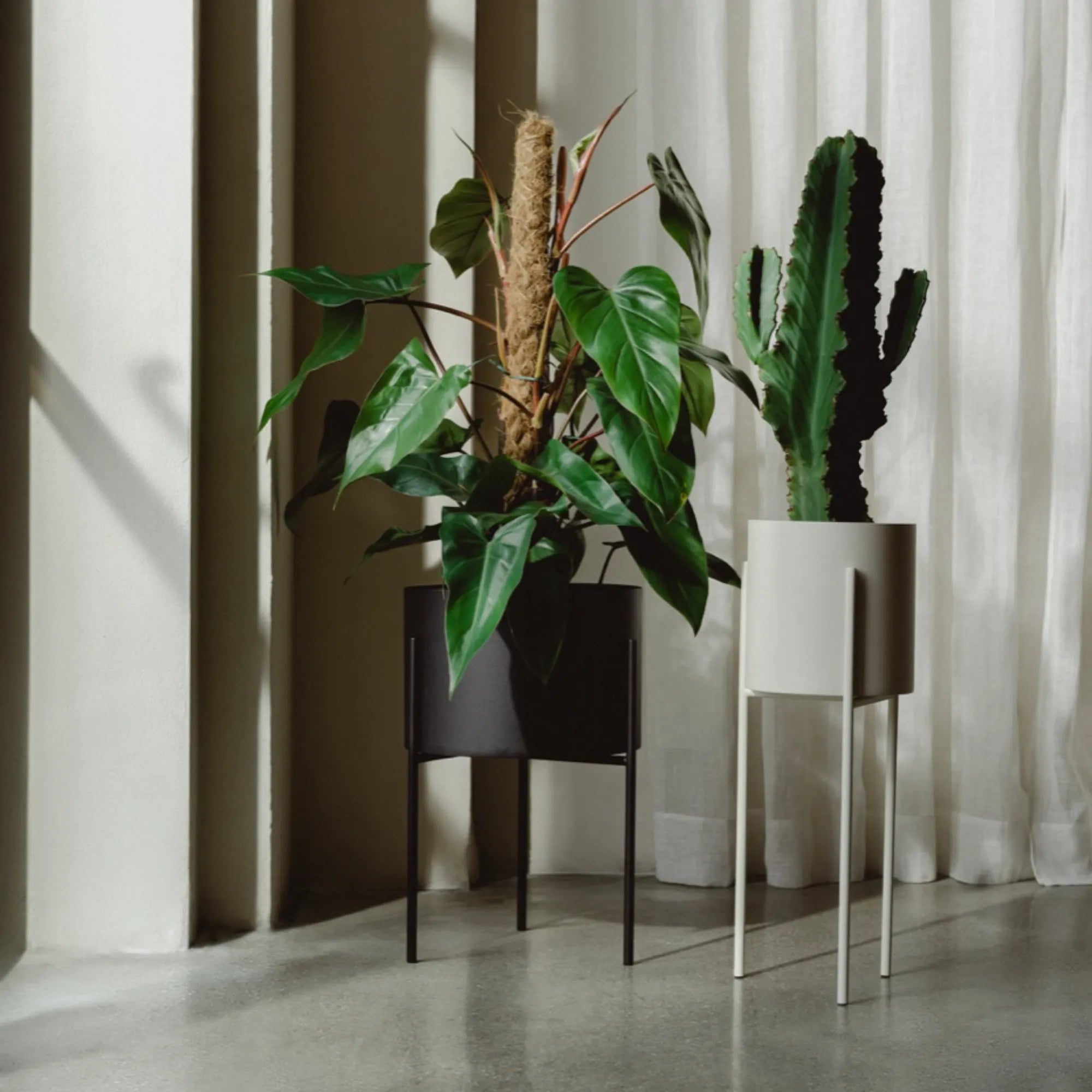 matte planter pot Maki Wide Vulcano Black Plant Pot by noo.ma Durable Powder Coated Steel Minimal Design for Indoor Plants