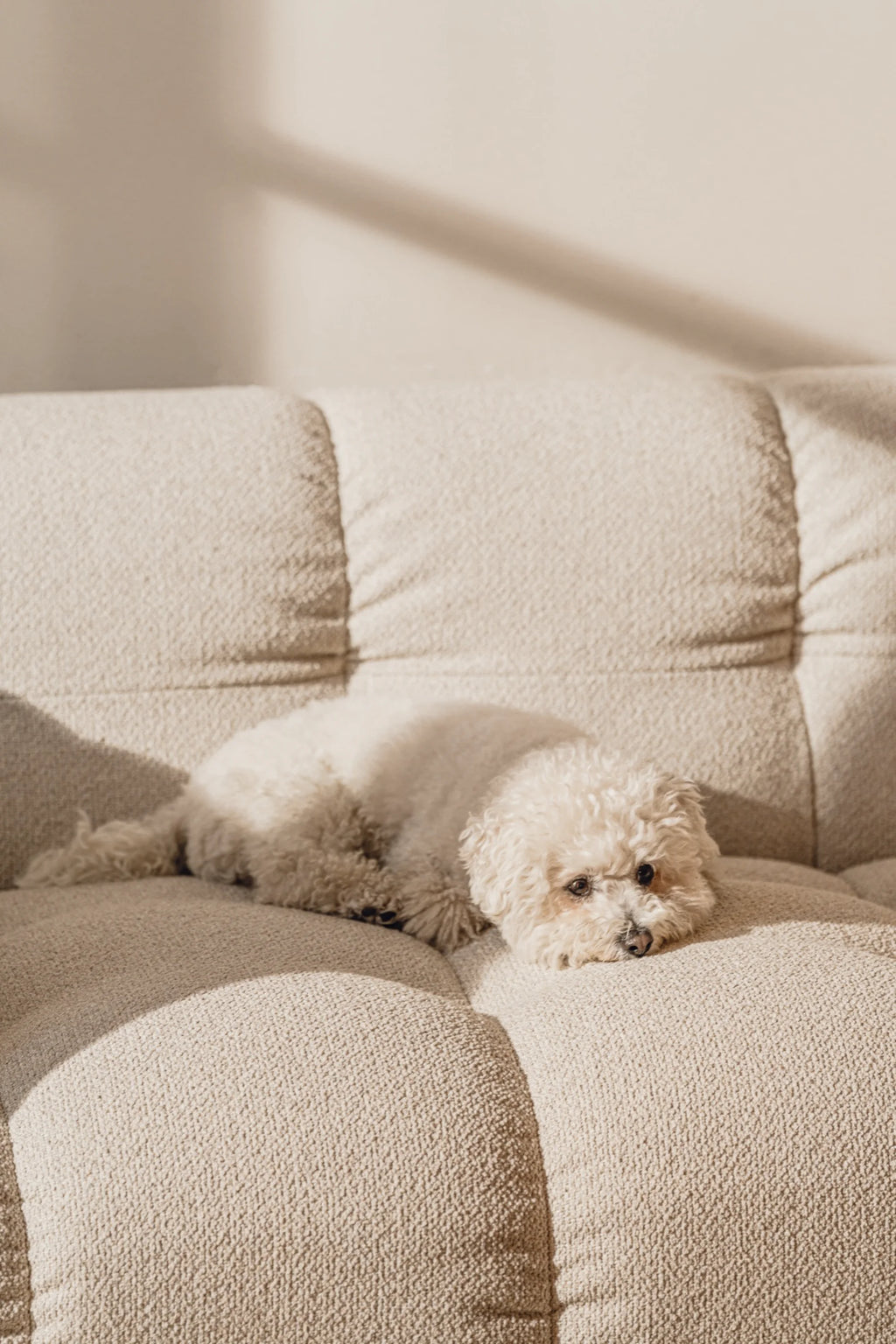 noo.ma Bolbi Sofa 2-seater, a plush and inviting contemporary sofa upholstered in a textured cream-colored woven fabric, featuring deep seating, a low profile, and a.