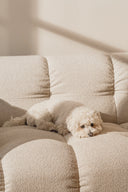 Bolbi Sofa 2-seater - THAT COOL LIVING