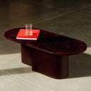 Modern rectangular walnut Looi Coffee Table with storage shelf and sleek metal legs