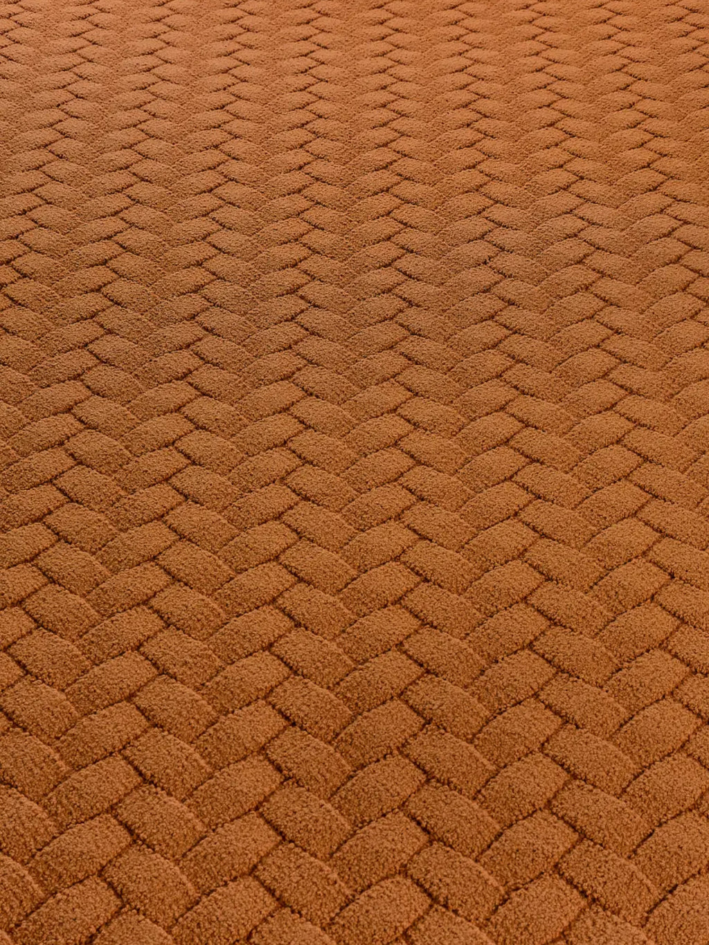 alp_ Palma Bicolor Rug, a warm terracotta orange area rug featuring a plush, soft tufted texture with a distinctive herringbone pattern, creating a rich, inviting pile.