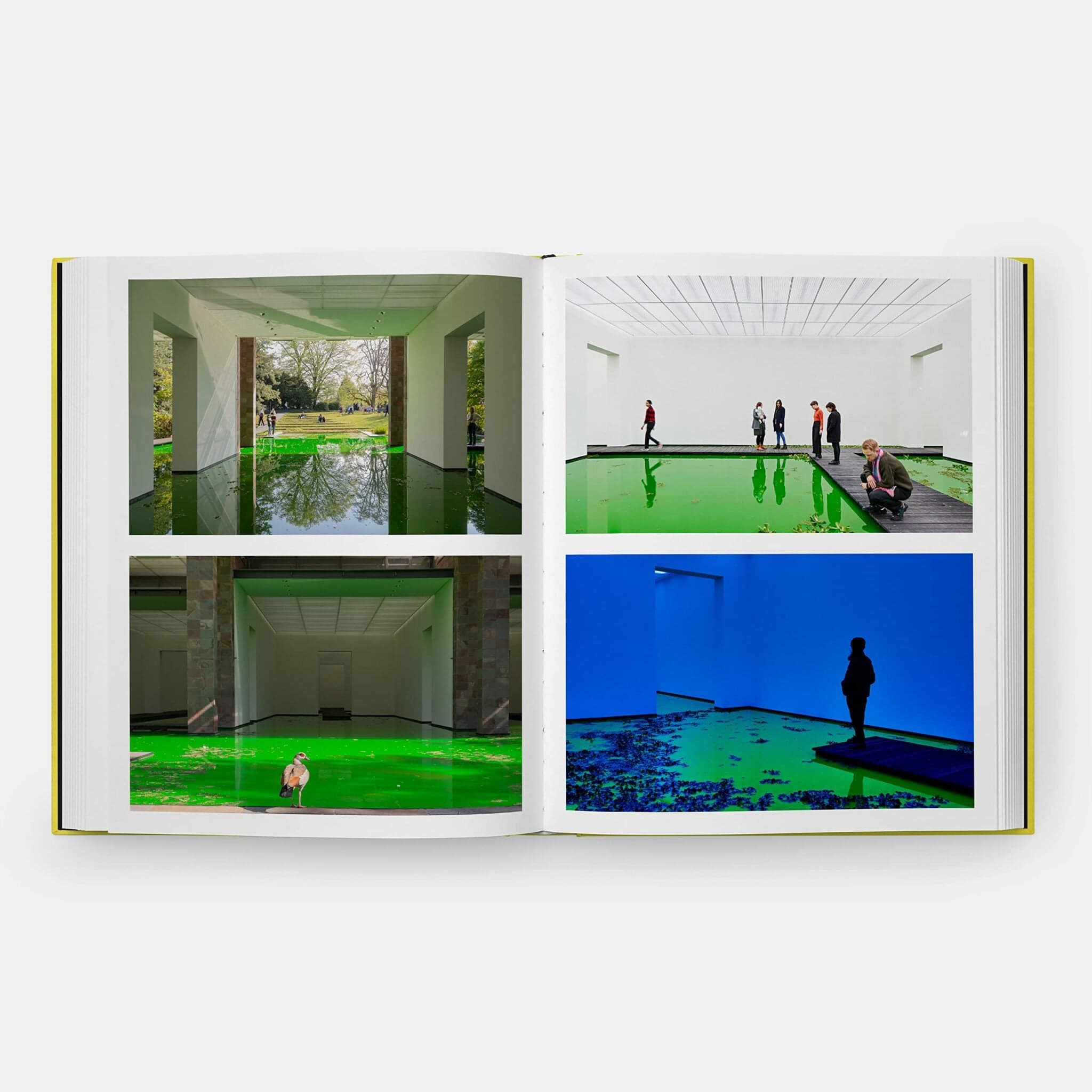Olafur Eliasson, Experience - THAT COOL LIVING