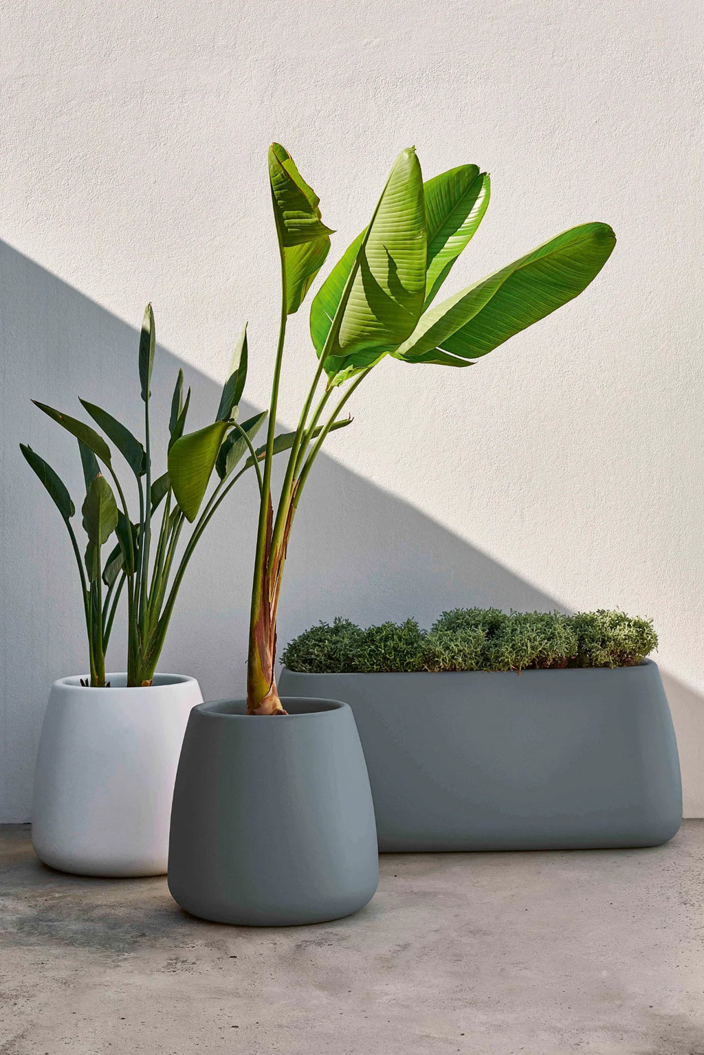 Gandia Blasco Sahara Outdoor Planter 5, a collection of modern minimalist outdoor planters crafted from durable, weather-resistant polyethylene with a smooth matte finish.
