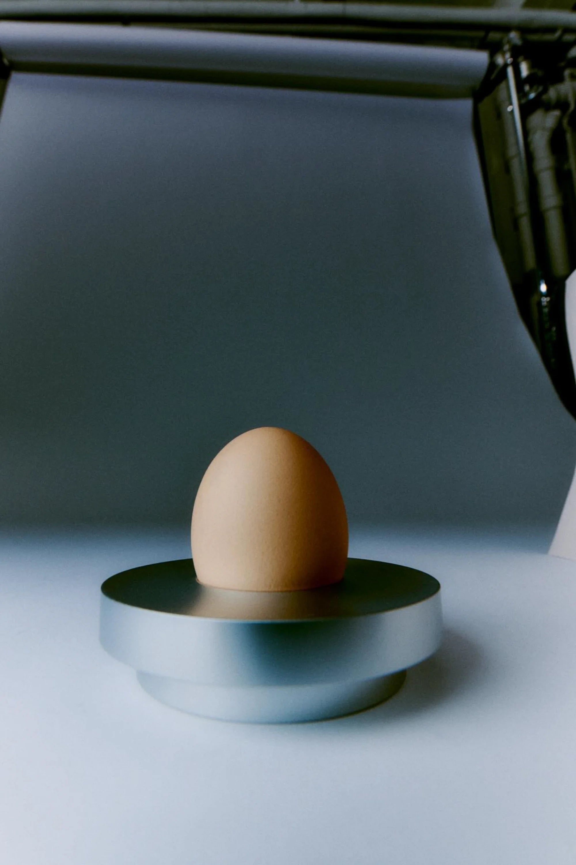 Brown egg on a metallic stand with a dark background