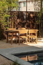 Tanso Side Chair - THAT COOL LIVING