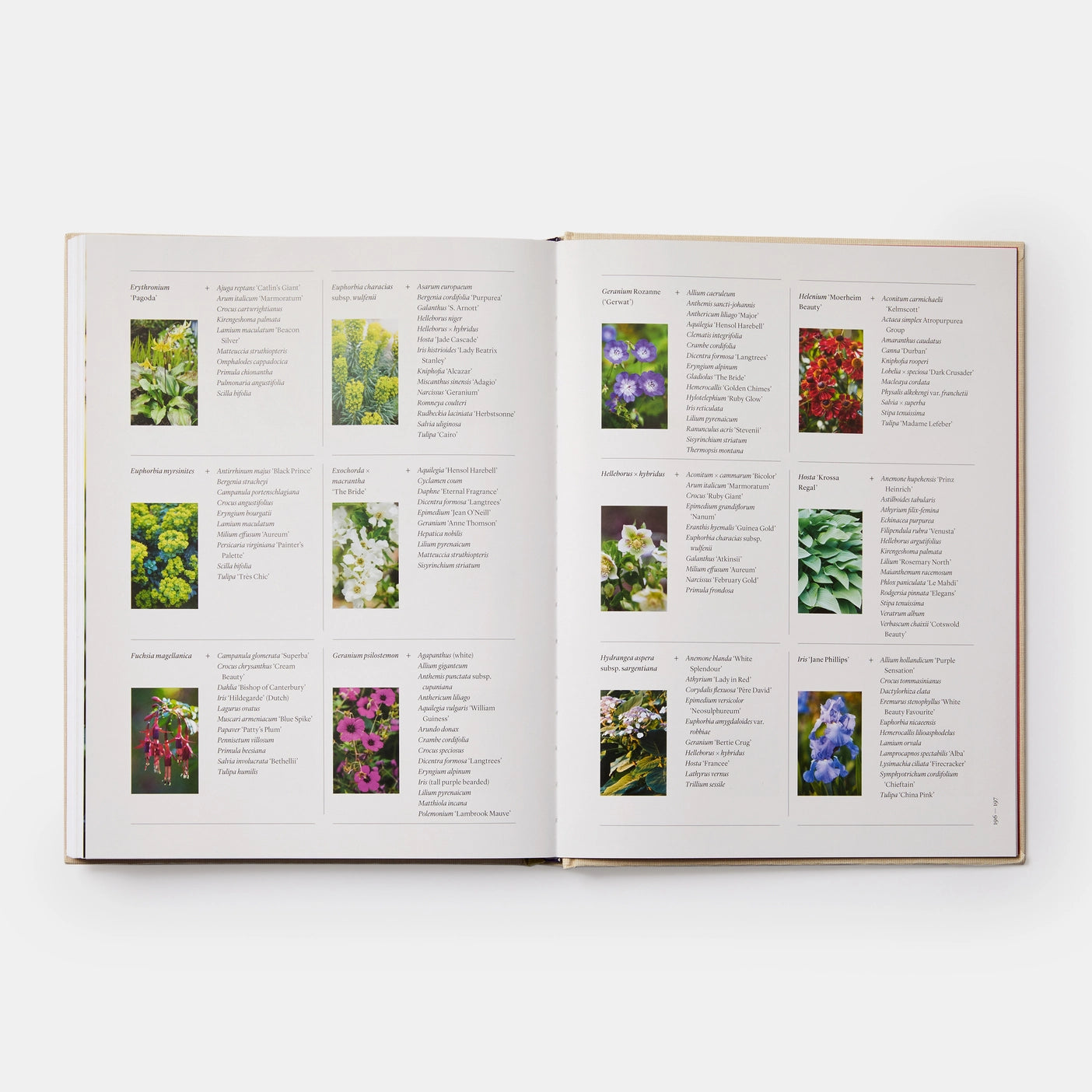 The Seasonal Gardener: Creative Planting Combinations book cover featuring stunning garden designs and planting ideas for every season
