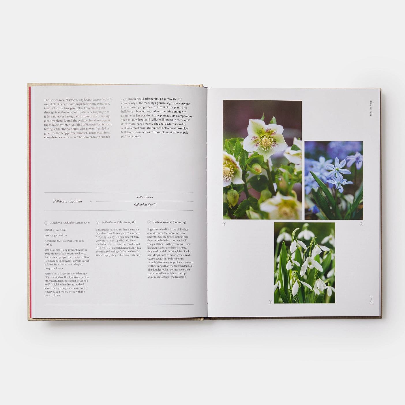 A colorful image of The Seasonal Gardener: Creative Planting Combinations book cover showcasing vibrant flowers and plants
