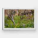 A peaceful scene of a winding path through a garden of colorful tulips