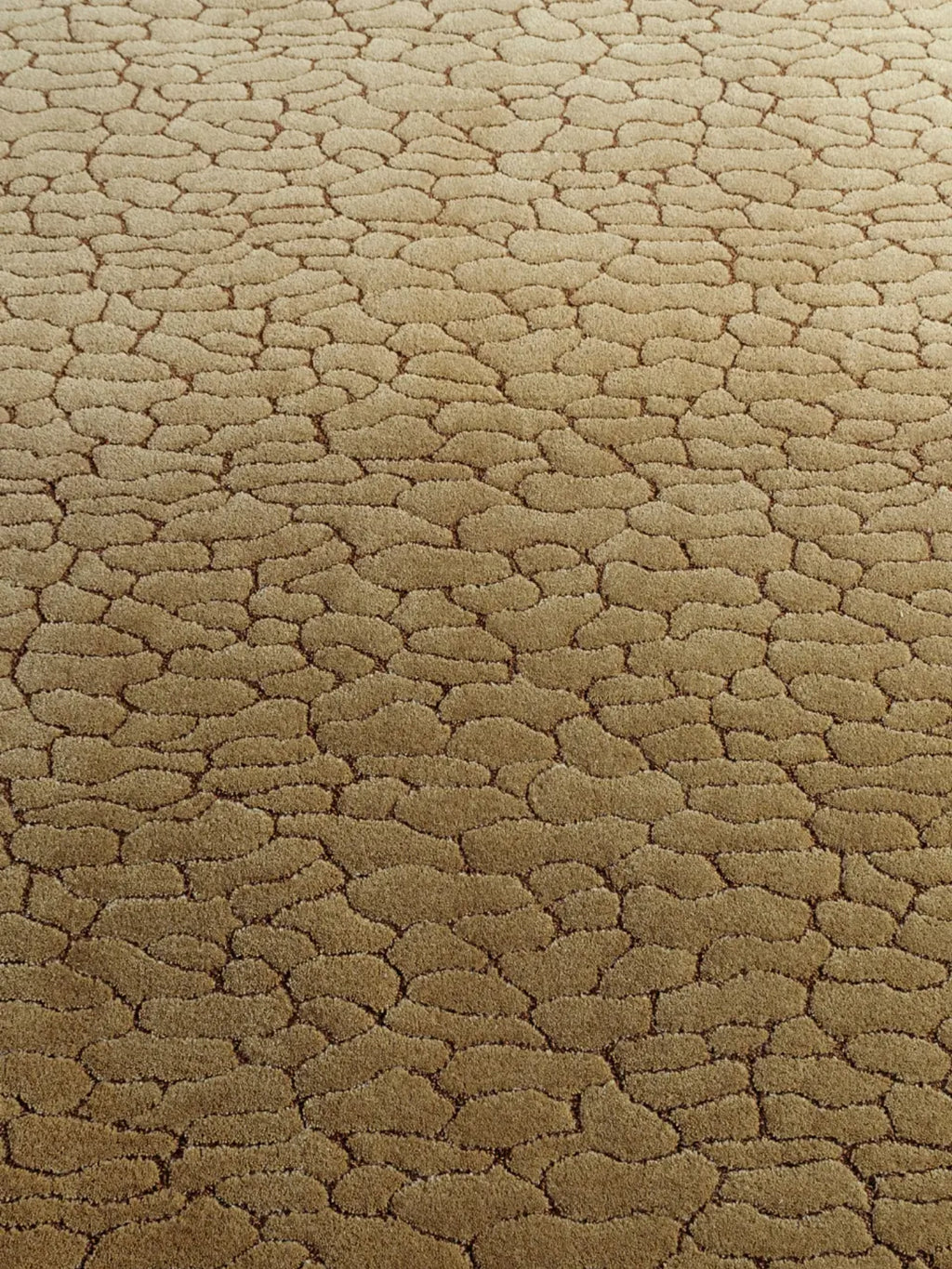 alp_ Tronc Rug, a luxurious high-pile textured area rug featuring an organic, cracked earth or river stone pattern in an inviting ombre gradient from light beige to rich brown tones.