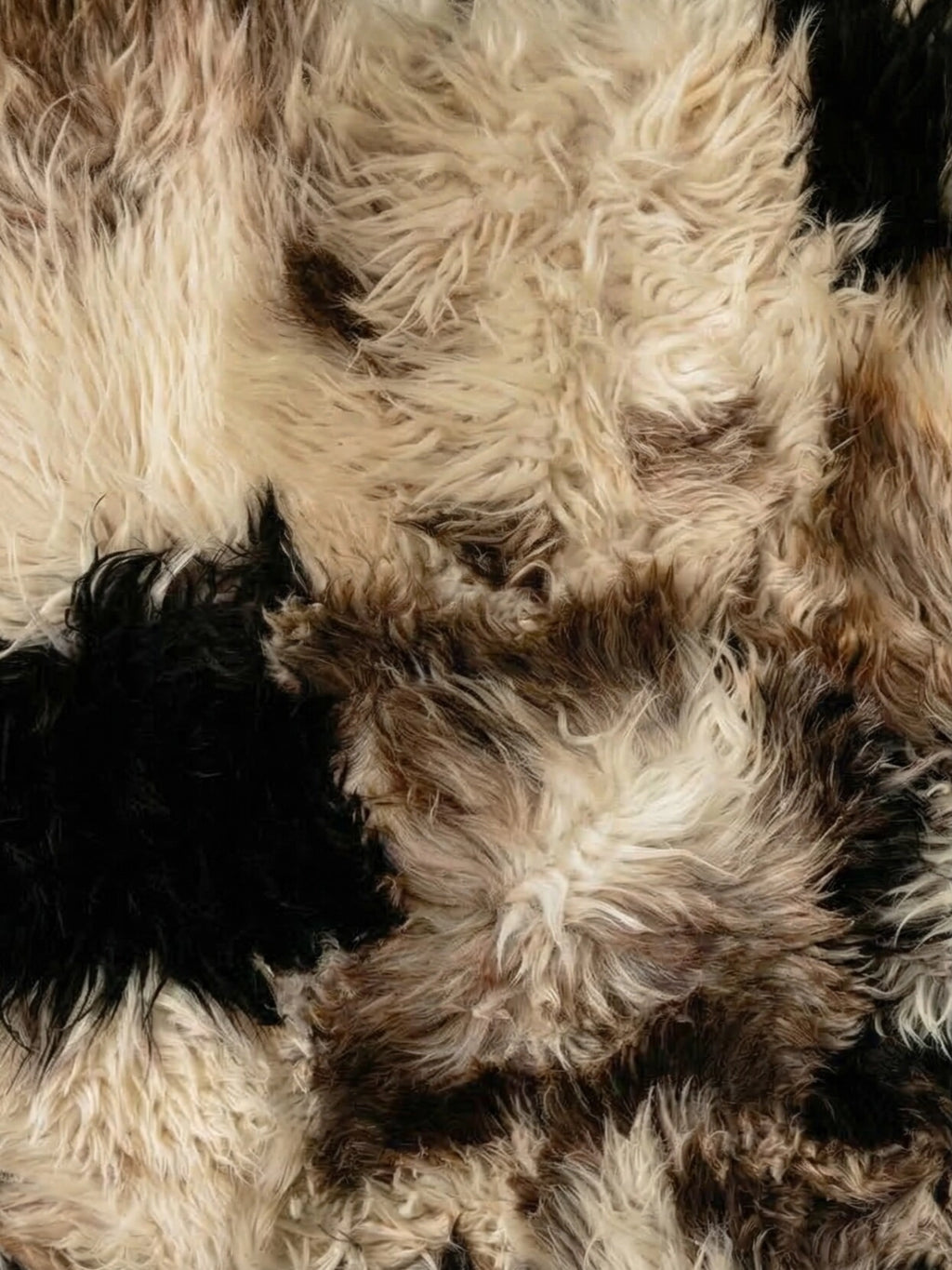 TCL Studios Curly Sheepskin Patchwork Rug, a luxurious natural sheepskin rug featuring a rich patchwork design of varying shades including soft cream, warm beige, deep brown, and black tones. This shaggy, long-pile rug offers an incredibly soft and inviting texture with its curly fur, creating a cozy and organic modern aesthetic. Ideal for adding rustic warmth to a bohemian living room, a soft touch to a minimalist bedroom, or comfort in a cozy reading nook.