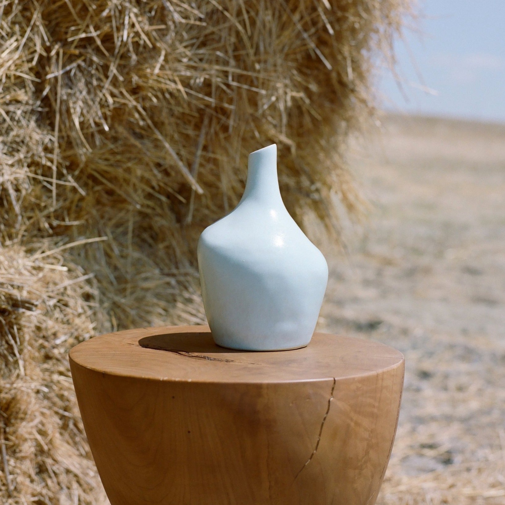 Mini Sailor Vase Vase Project 213A
